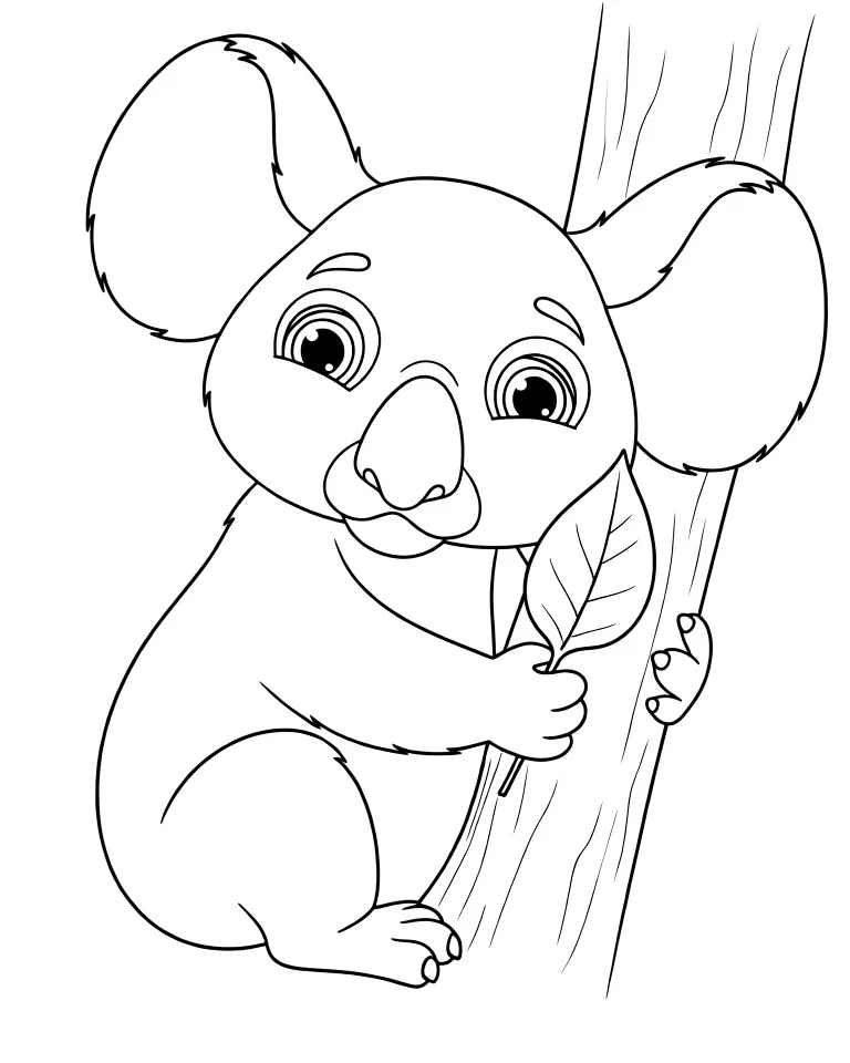 Глазастик коала