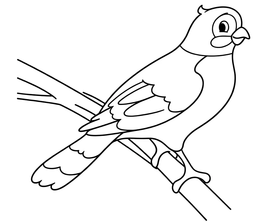 Голубь на ветке