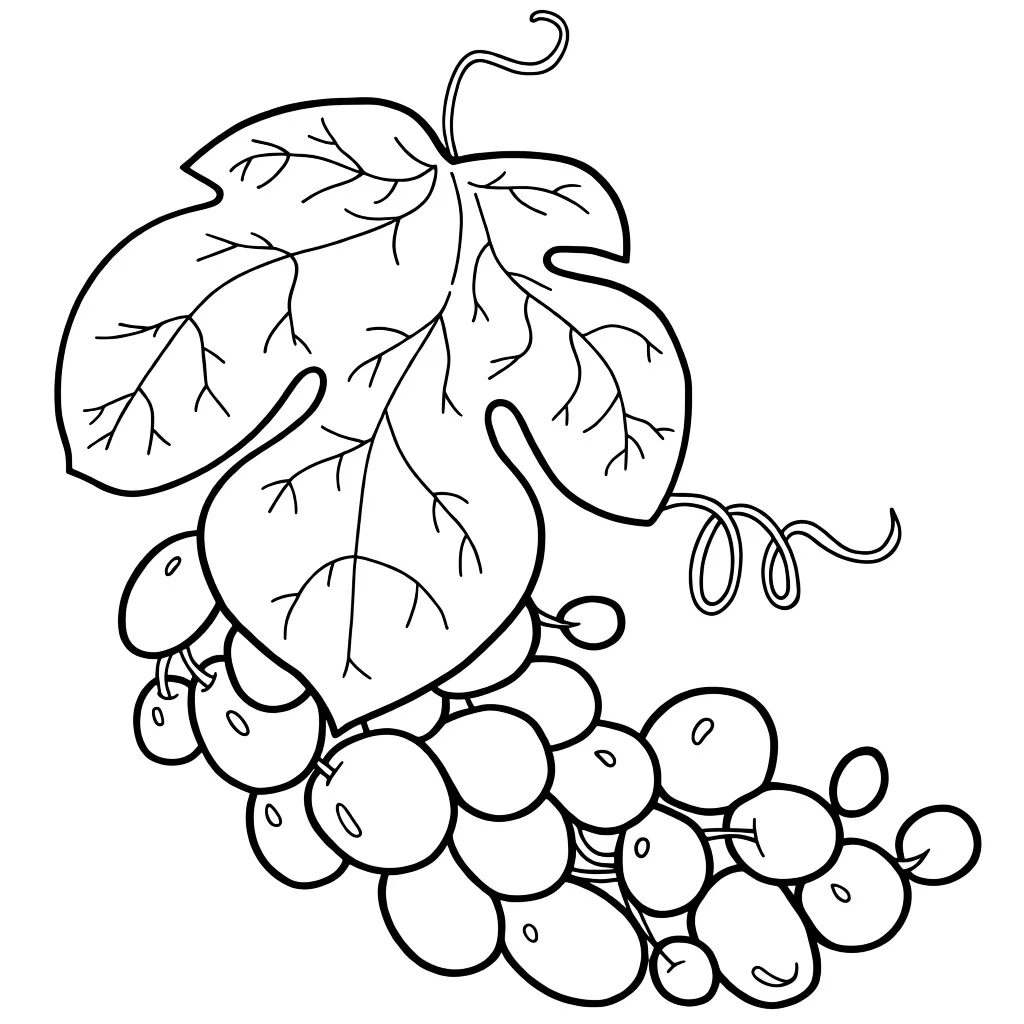 Гроздь винограда