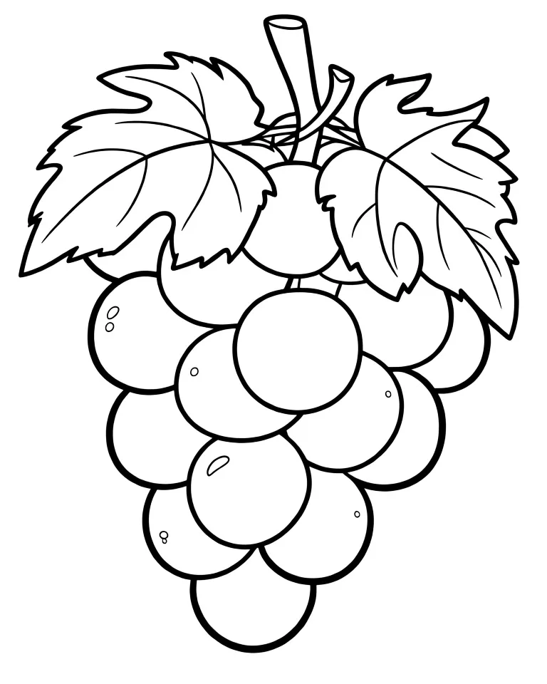 Гроздь винограда с листиками
