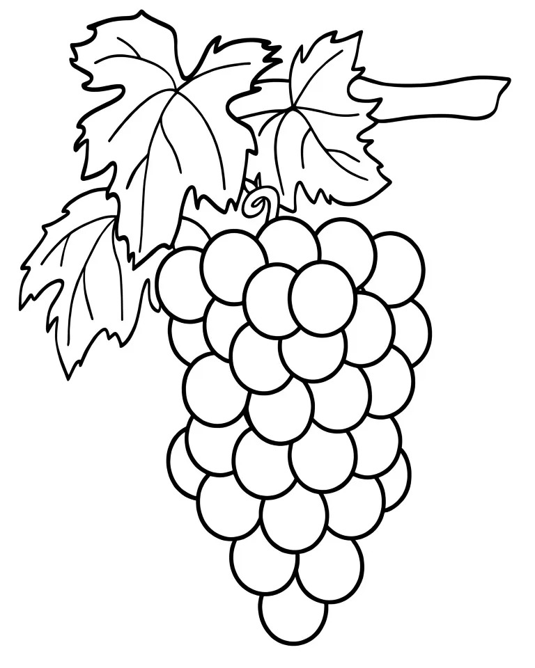 Гроздочка винограда