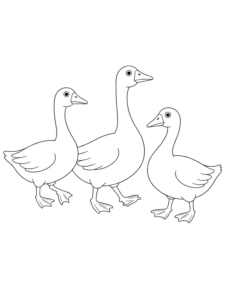 Гуси гуляют