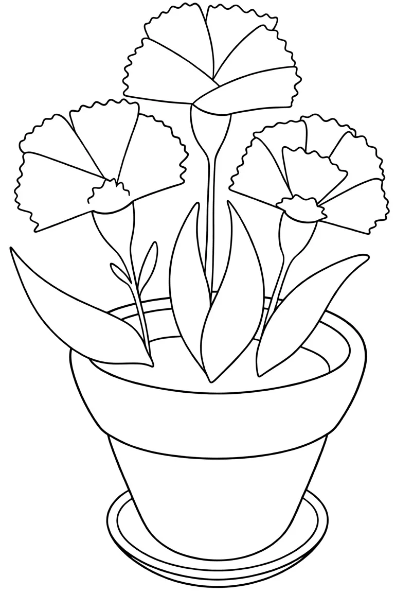 Гвоздика в горшочке