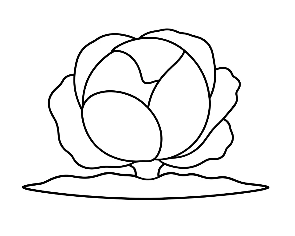 Капуста на грядке