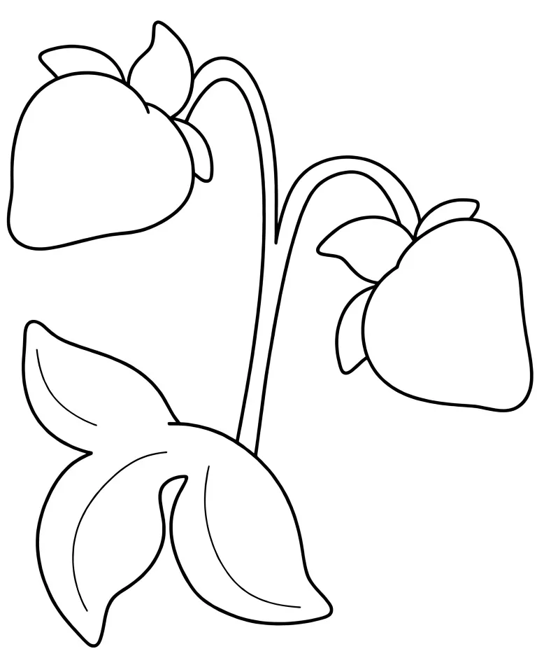 Клубника на кусте