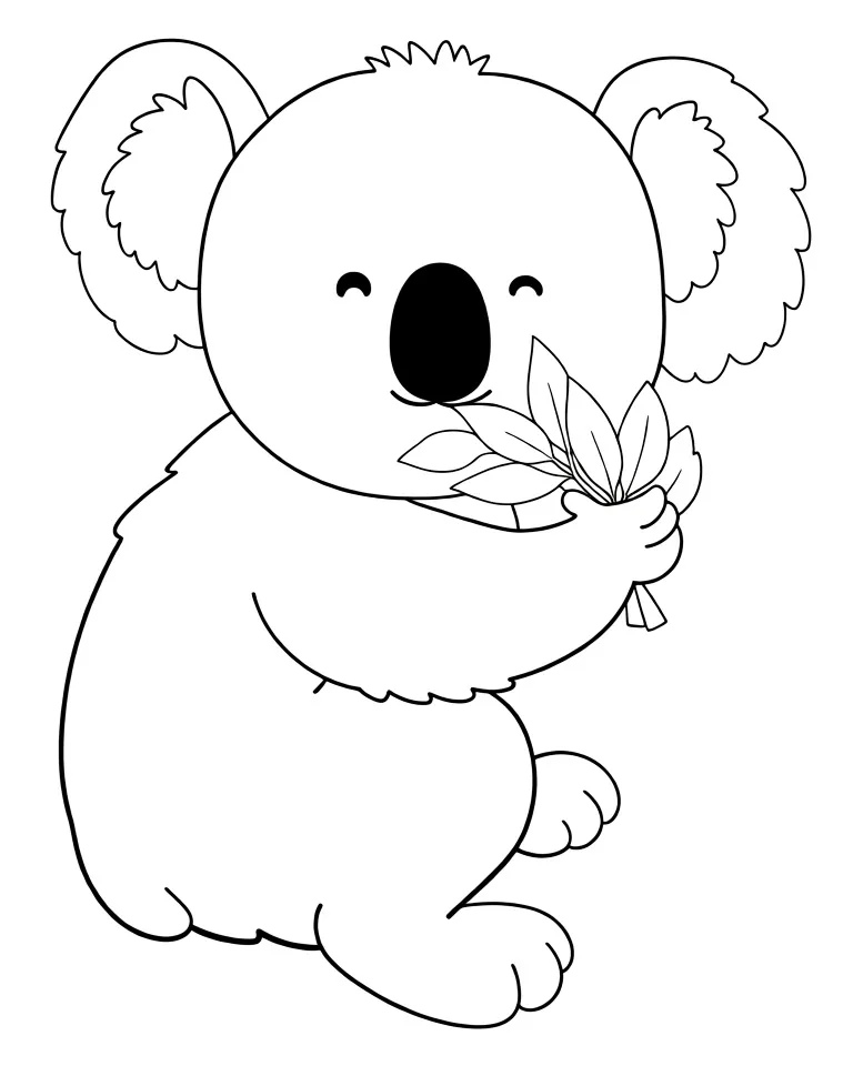 Коала ест эвкалипт