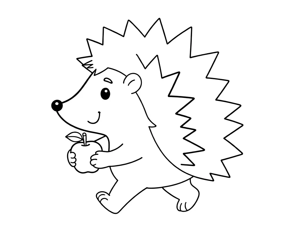 Колючий ежик