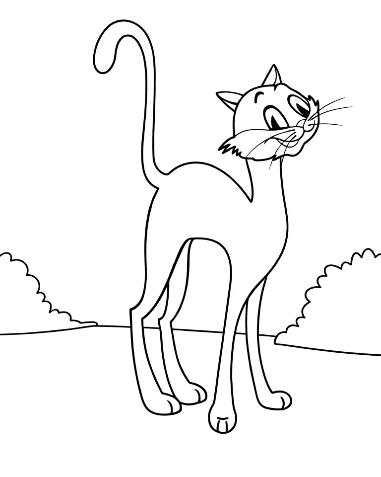 Кот во дворе