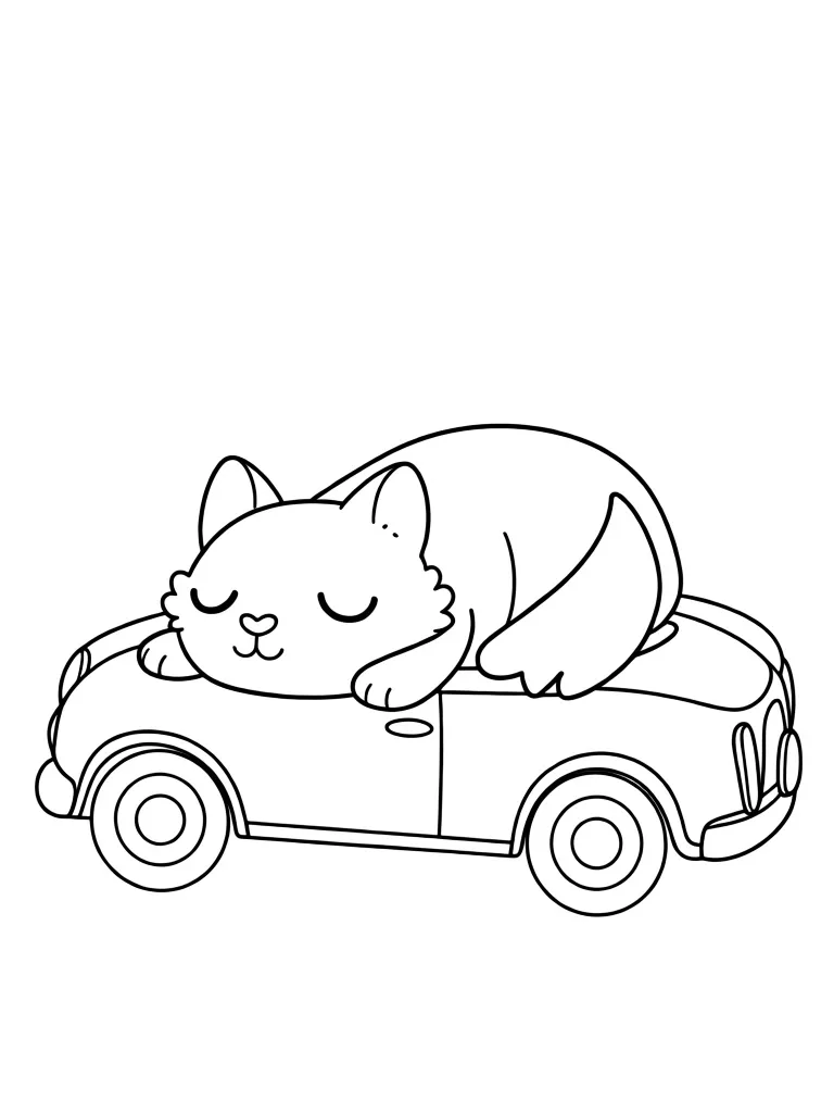 Котик спит на машине