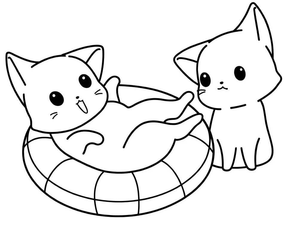 Котики и морской круг