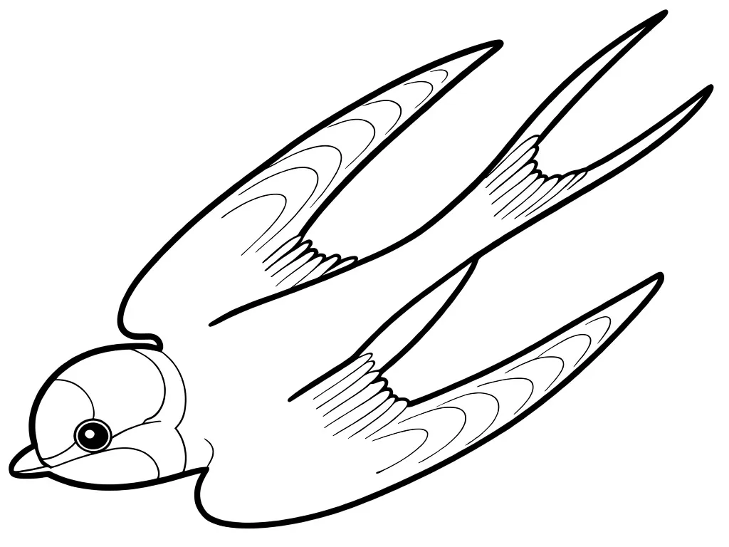 Красивая ласточка