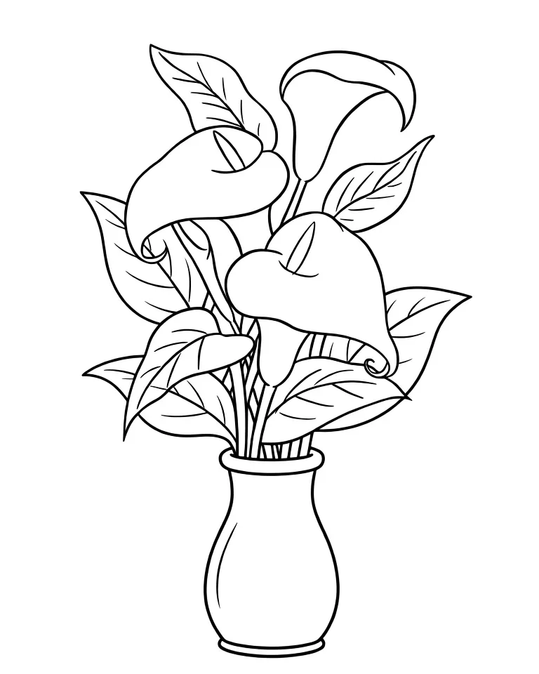 Красивые каллы