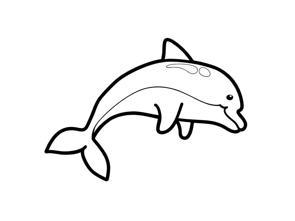 Красивый дельфин