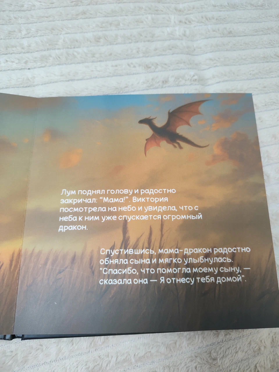 Фото книга Девочка и потерявшийся дракон