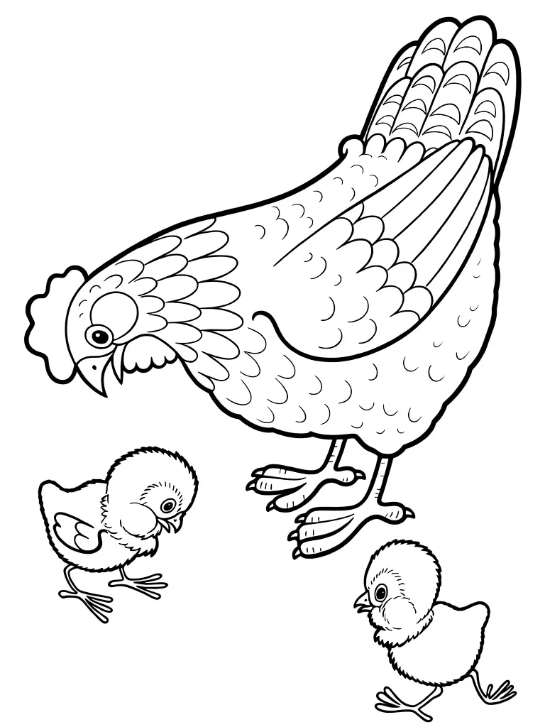 Курица кормит цыплят