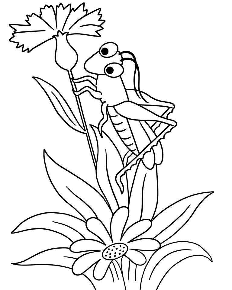 Кузнечик смотрит на василек