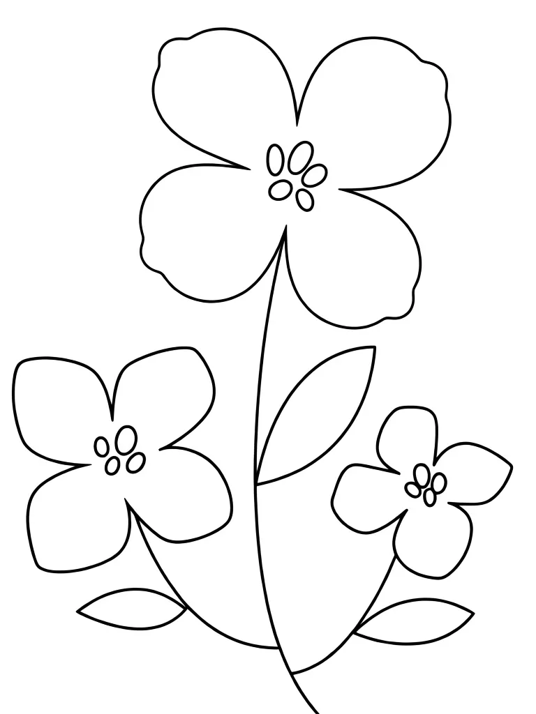 Маленькая незабудка