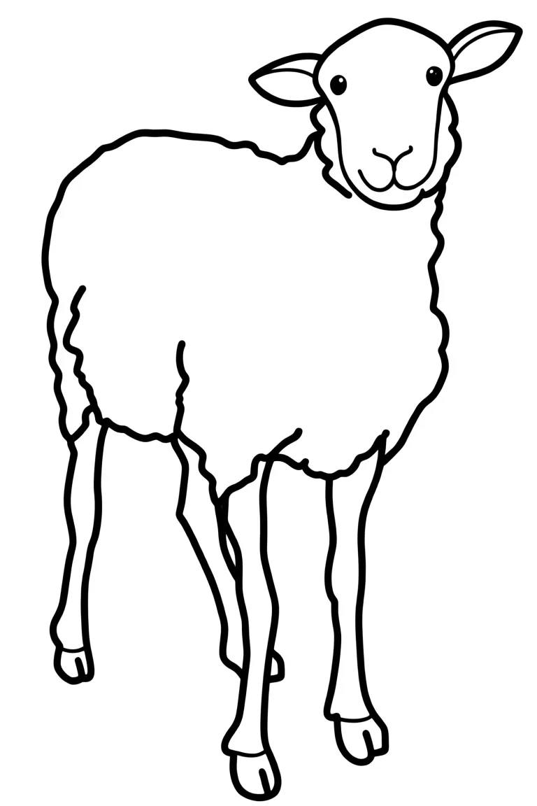 Маленькая овца