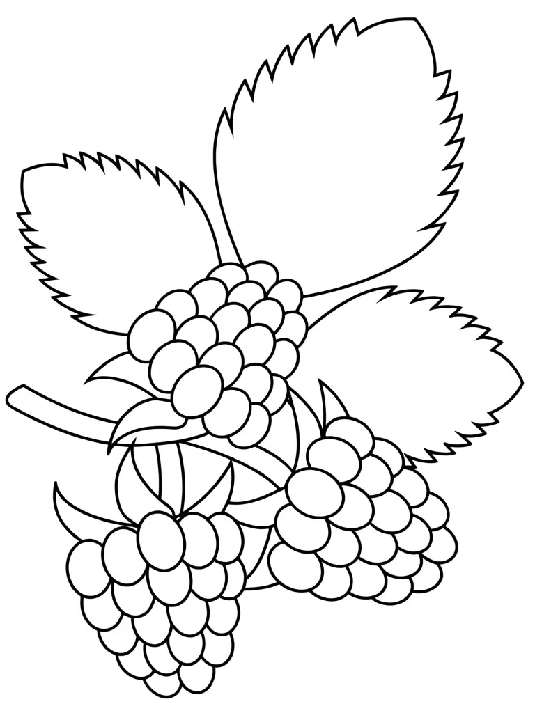 Малина на ветке