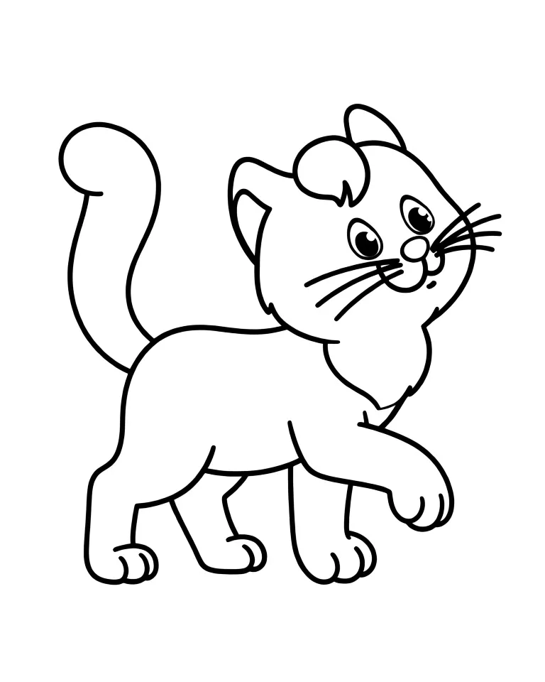 Милая кошечка гуляет