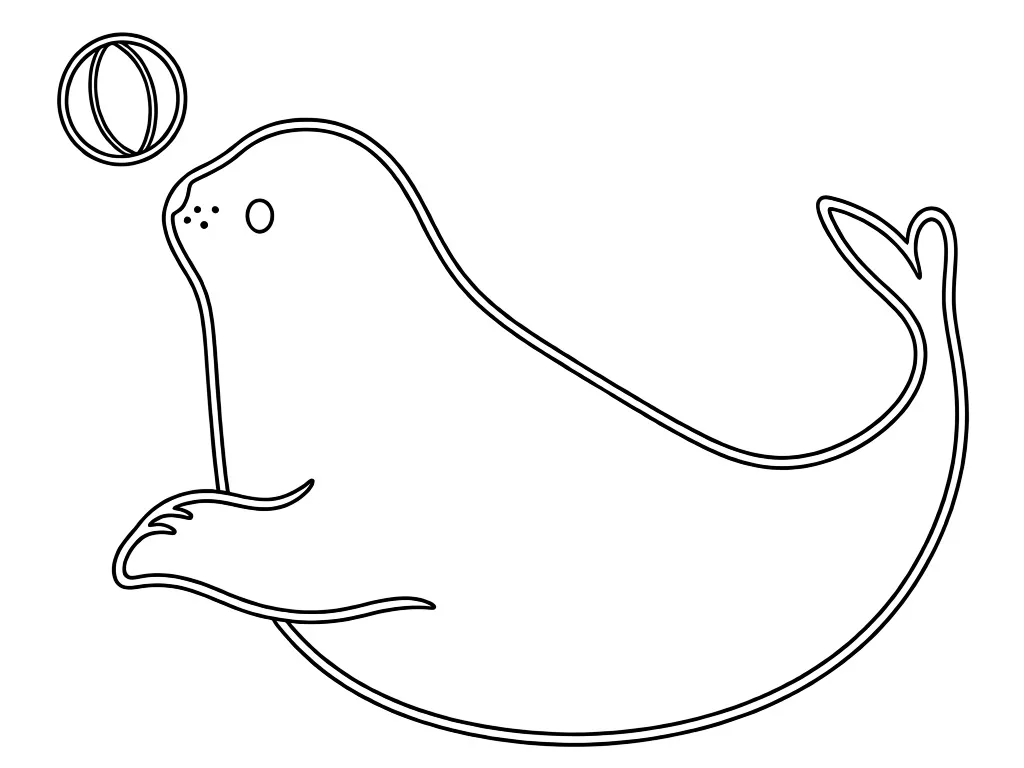 Морской котик играет с мячом