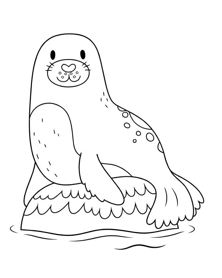 Морской котик на льдине