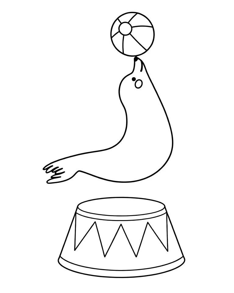 Нерпа с мячом