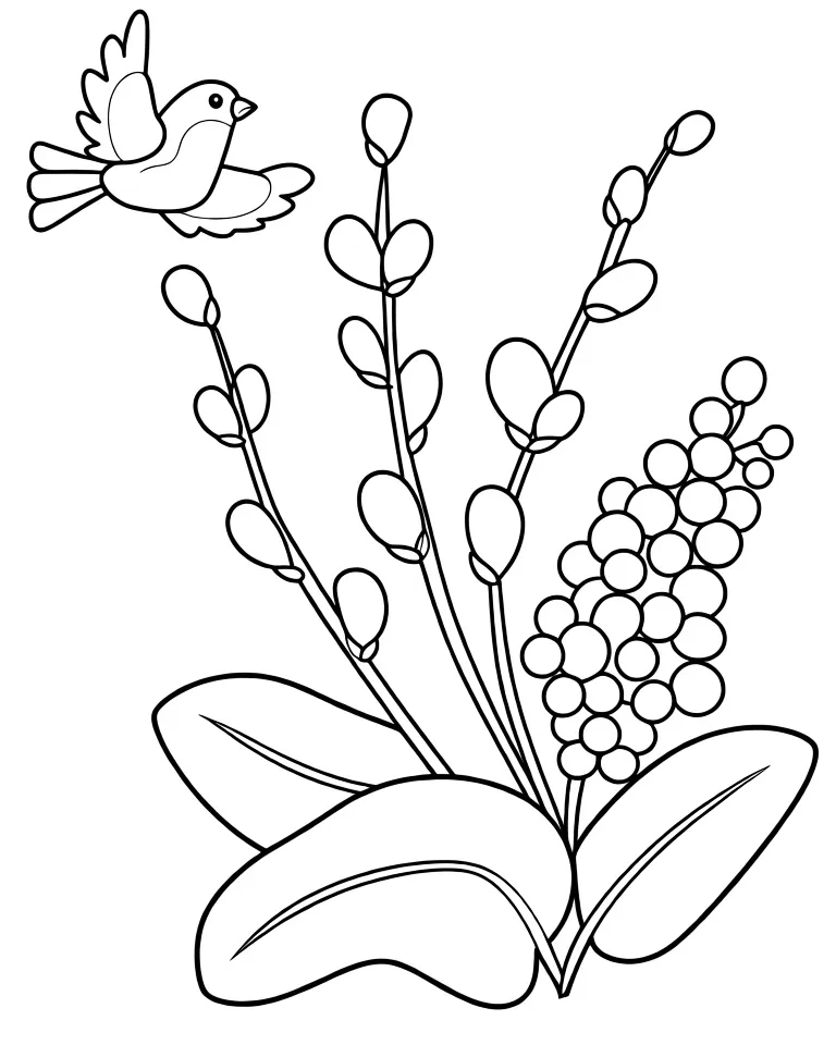 Птичка и веточка мимозы