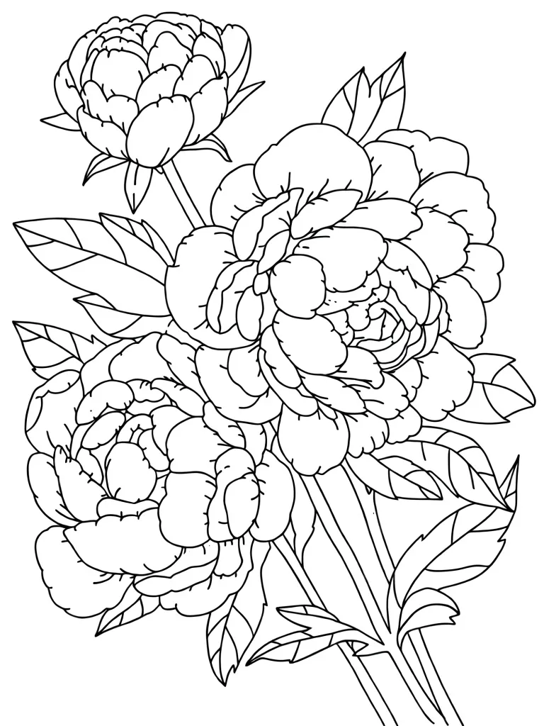 Пышные пионы