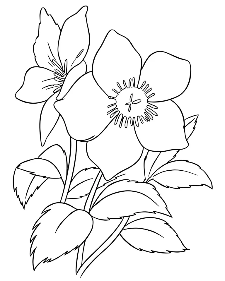 Пышный цветок