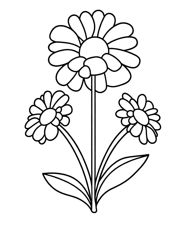 Расцветающая ромашка