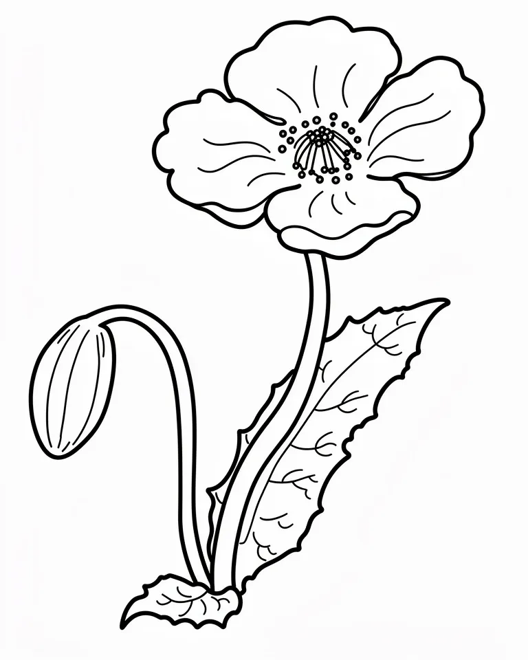 Распустившийся мак