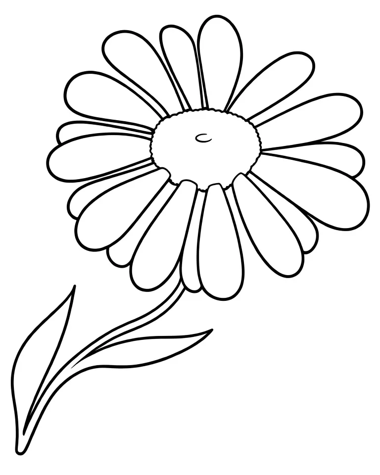 Красивая ромашка