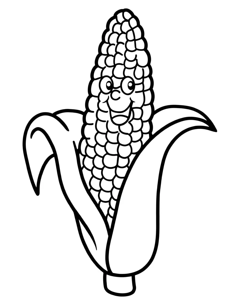 Сладкий початок кукурузы