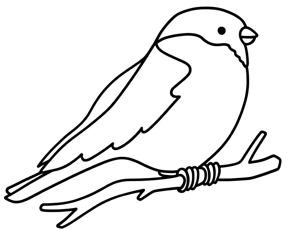 Снегирь сидит на ветке