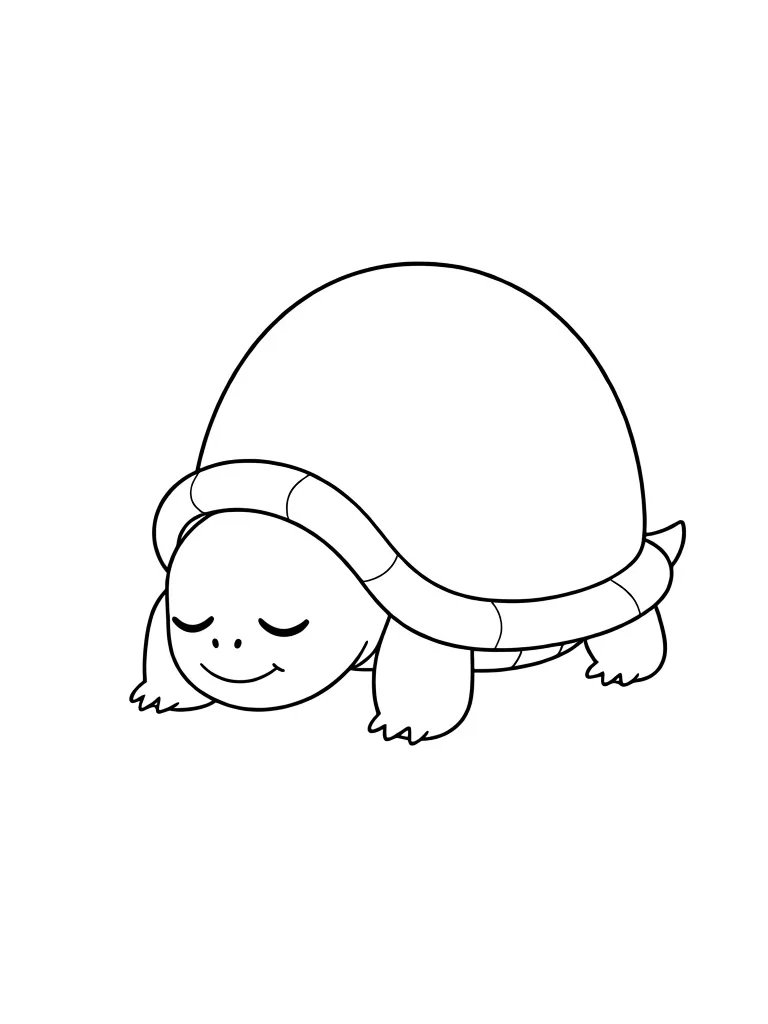 Сонная черепашка