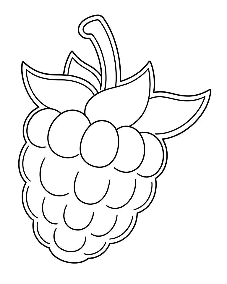 Спелая малинка