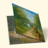 Фото книги