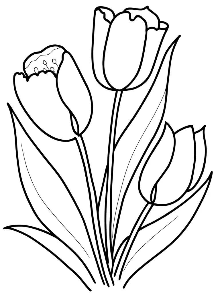 Три пышных тюлпана