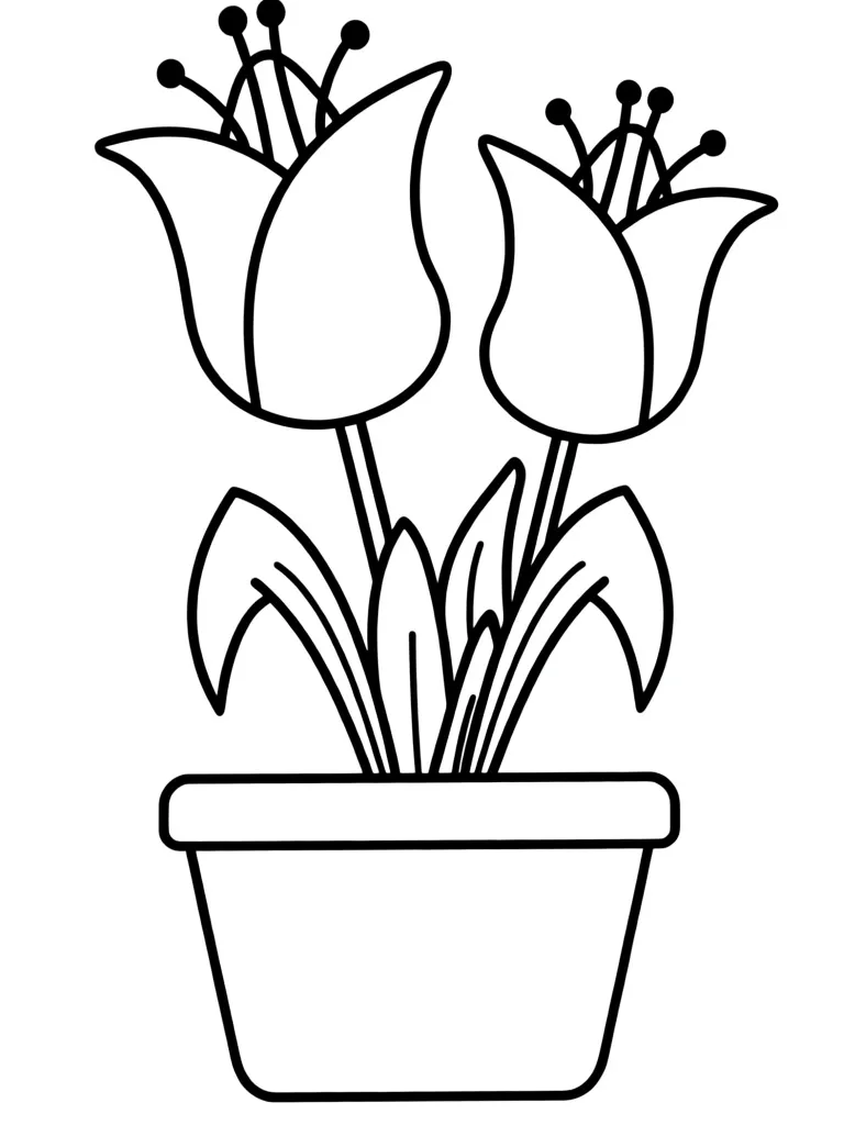 Тюльпаны в горшке