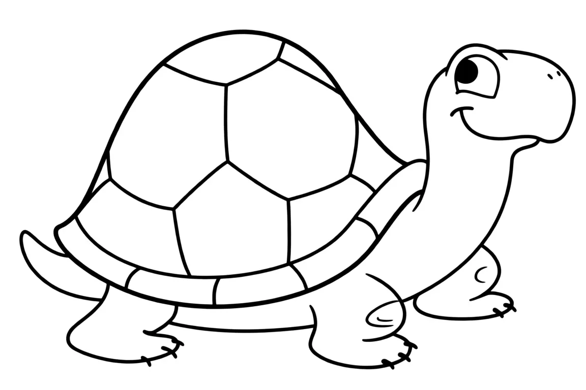 Веселая черепашка