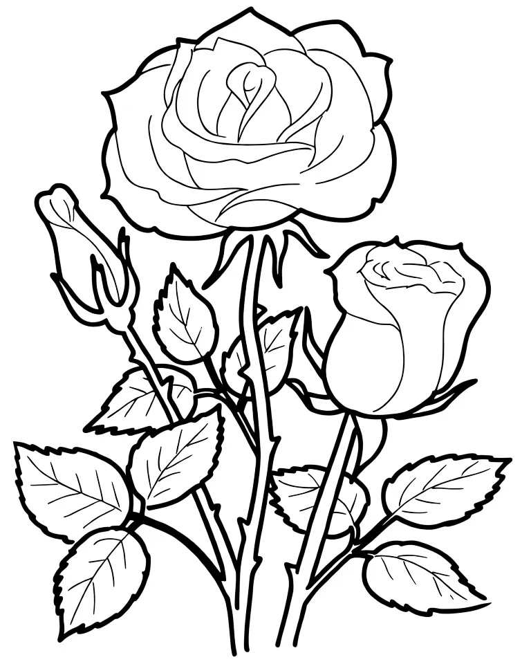 Веточка розы