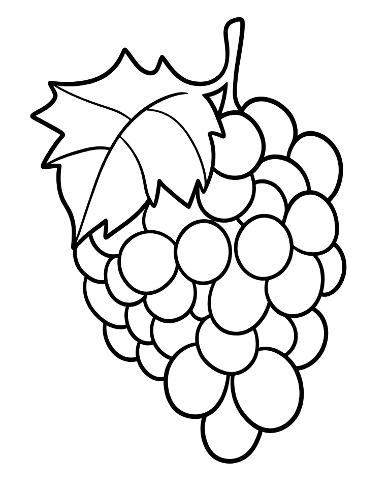 Виноградная гроздь