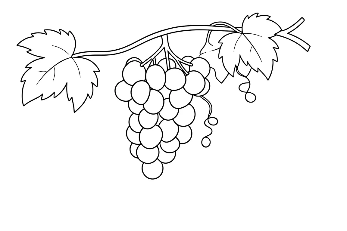 Виноградная лоза