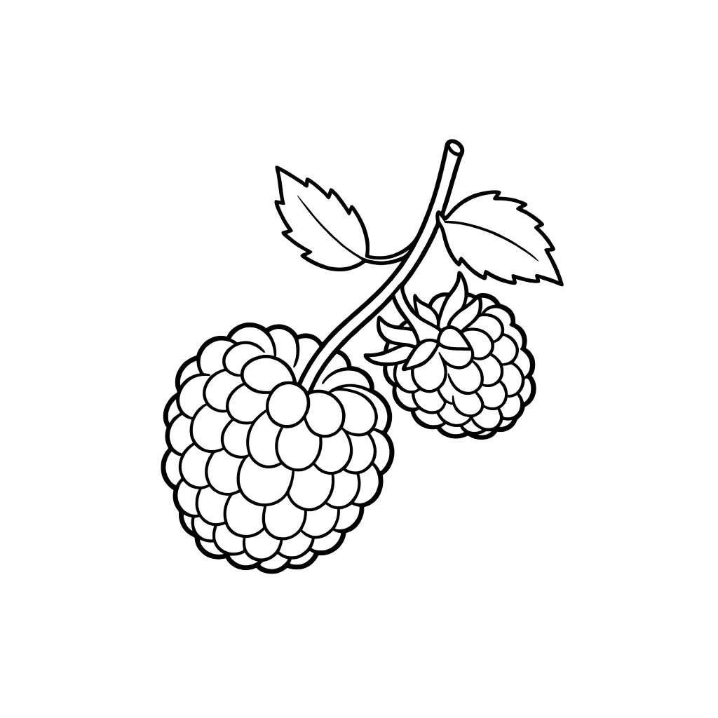 Ягода малины