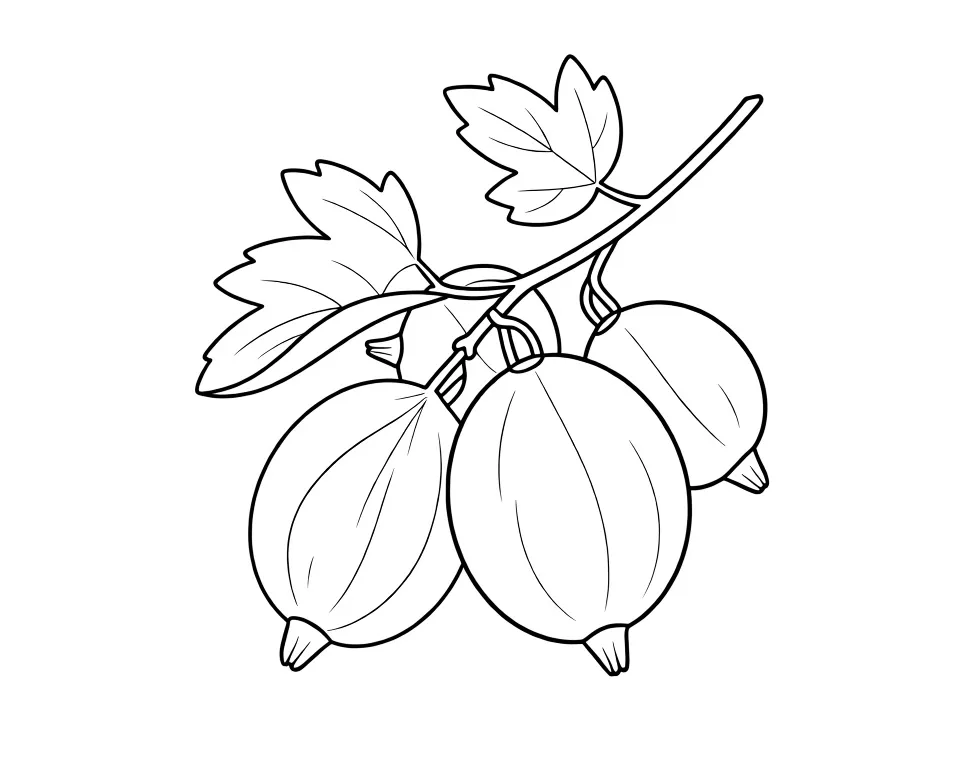 Ягоды крыжовника