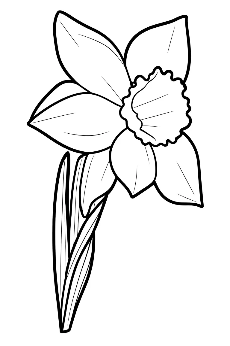 Живописный нарцисс