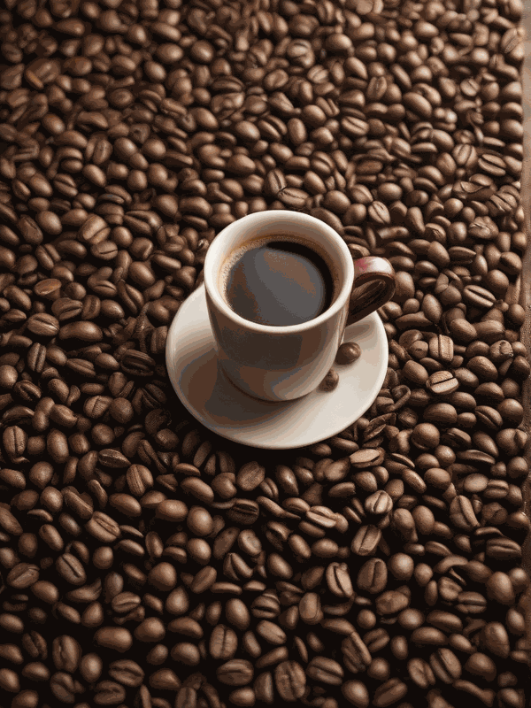 КП Black Mamont Coffee для отеля Diplomat