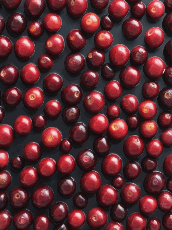 Cranberries for treating urinary tract infections