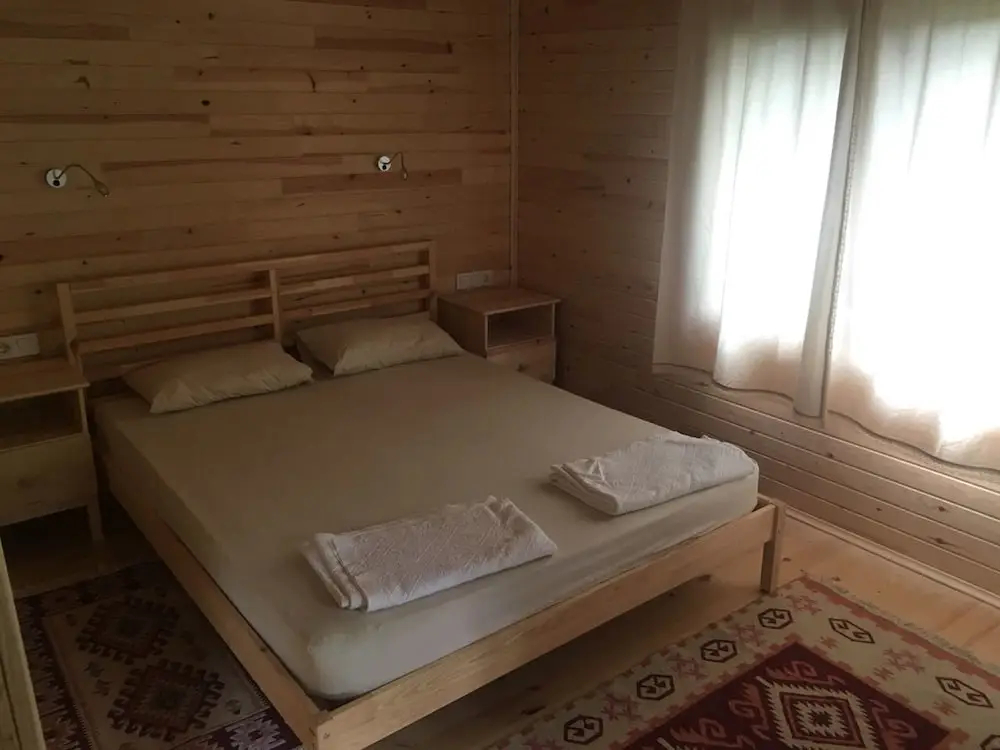 Standard Double room with garden view